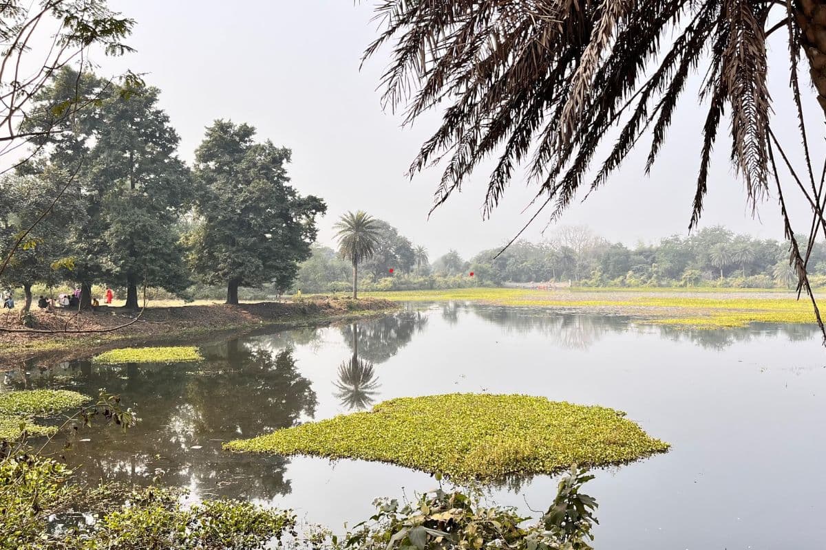 Jharkhand Tourism: कभी देश विदेश से घूमने आते थे सेवन लेक में, अब समाप्त हो जा रहा अस्तित्व