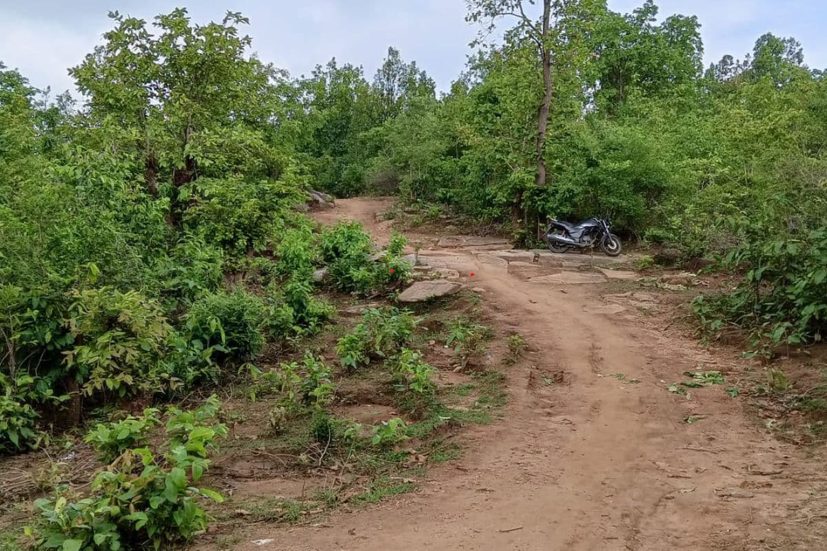 Jharkhand Naxal News: नक्सलियों की बड़ी साजिश नाकाम, पुलिस को उड़ाने के लिए रखा गया IED बम बरामद