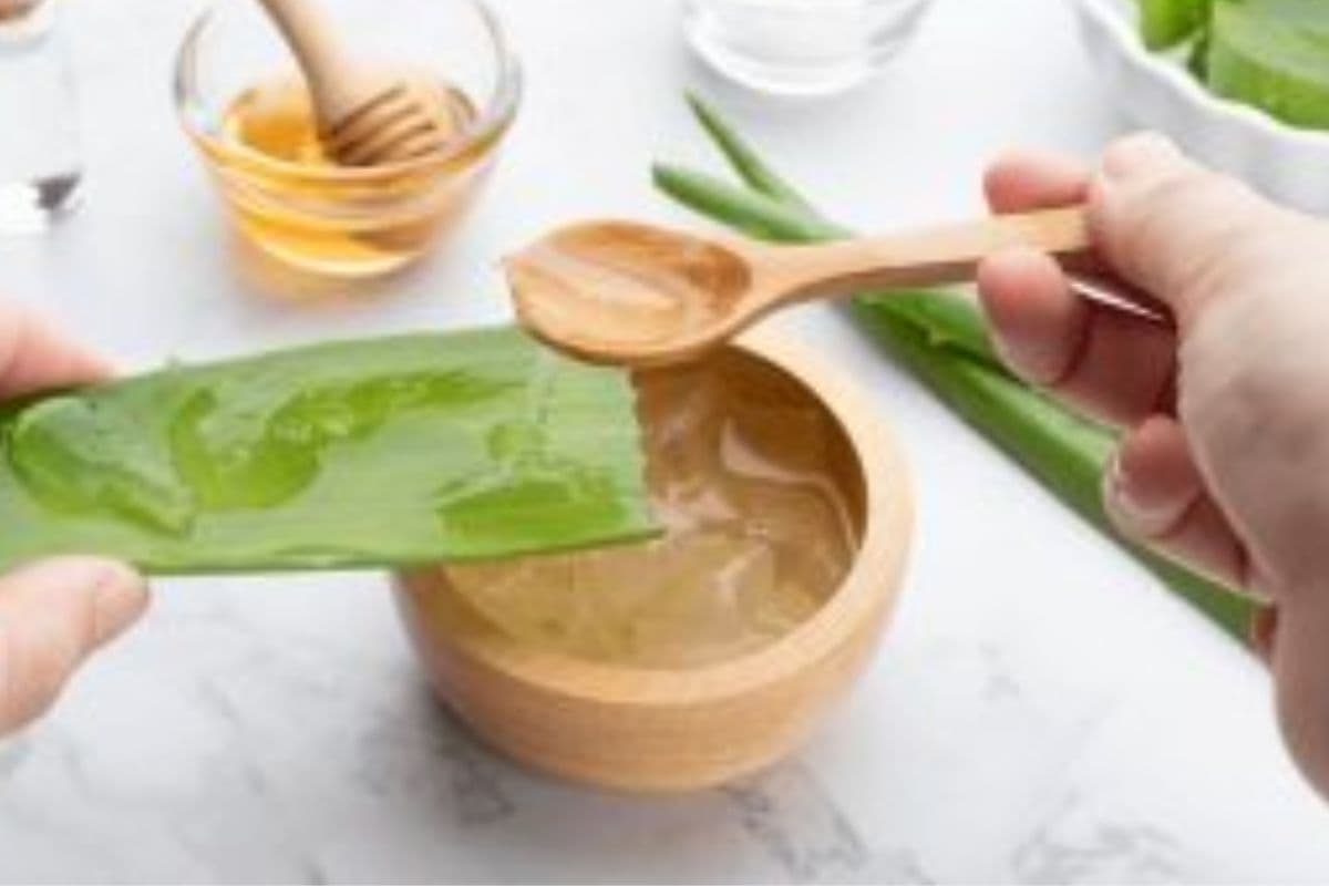 Hair Care Tips: सर्दियों में बालों की समस्या को दूर करेगा एलोवेरा, जानें मिलने वाले फायदों के बारे में 