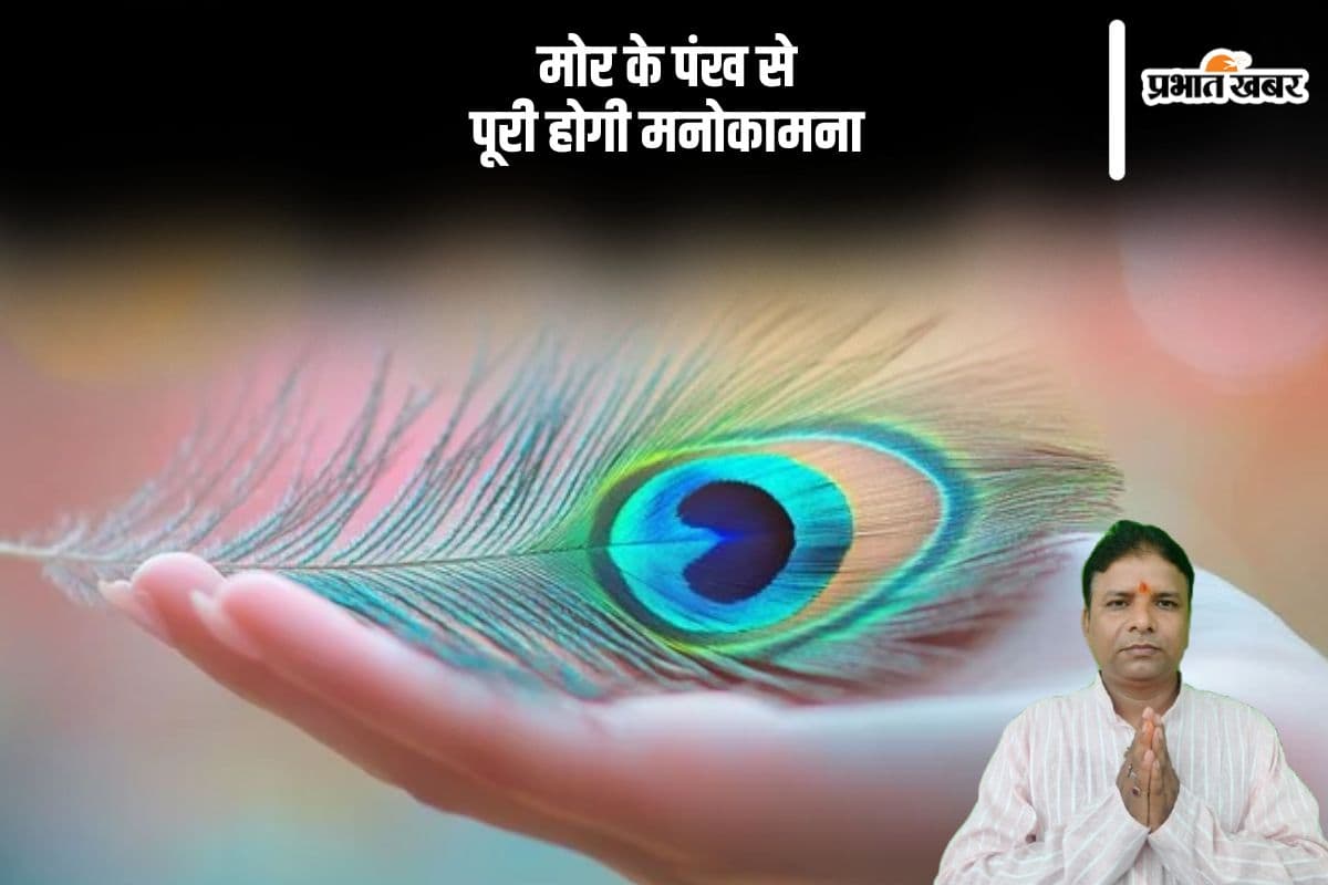 Vastu Tips: मोर पंख से पूरी होती है हर मनोकामना, जानें कैसे