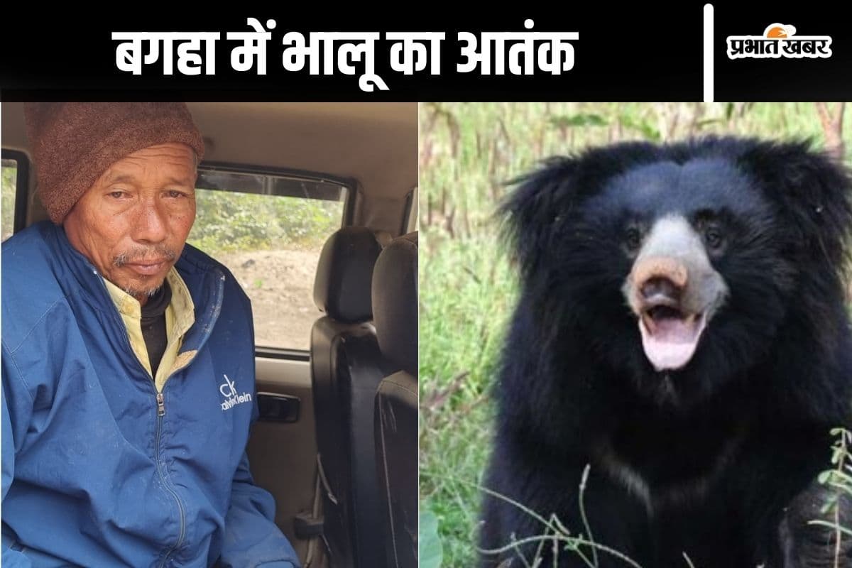 Bear Attack: शावक के साथ बैठी मादा भालू ने किसान पर किया हमला, इलाके में मचा हड़कंप