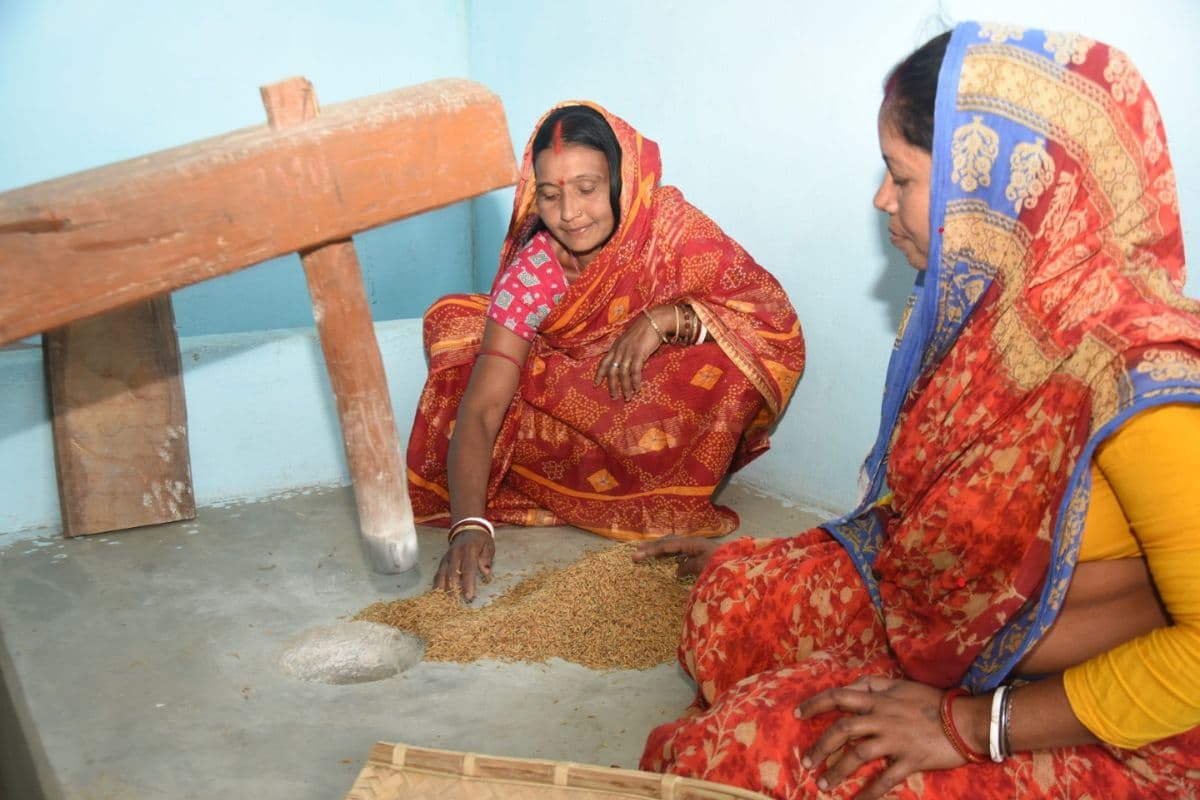 लुप्त हो रही धान की किस किस्म को कोल्हान की महिलाओं ने दिया है नया जीवन?