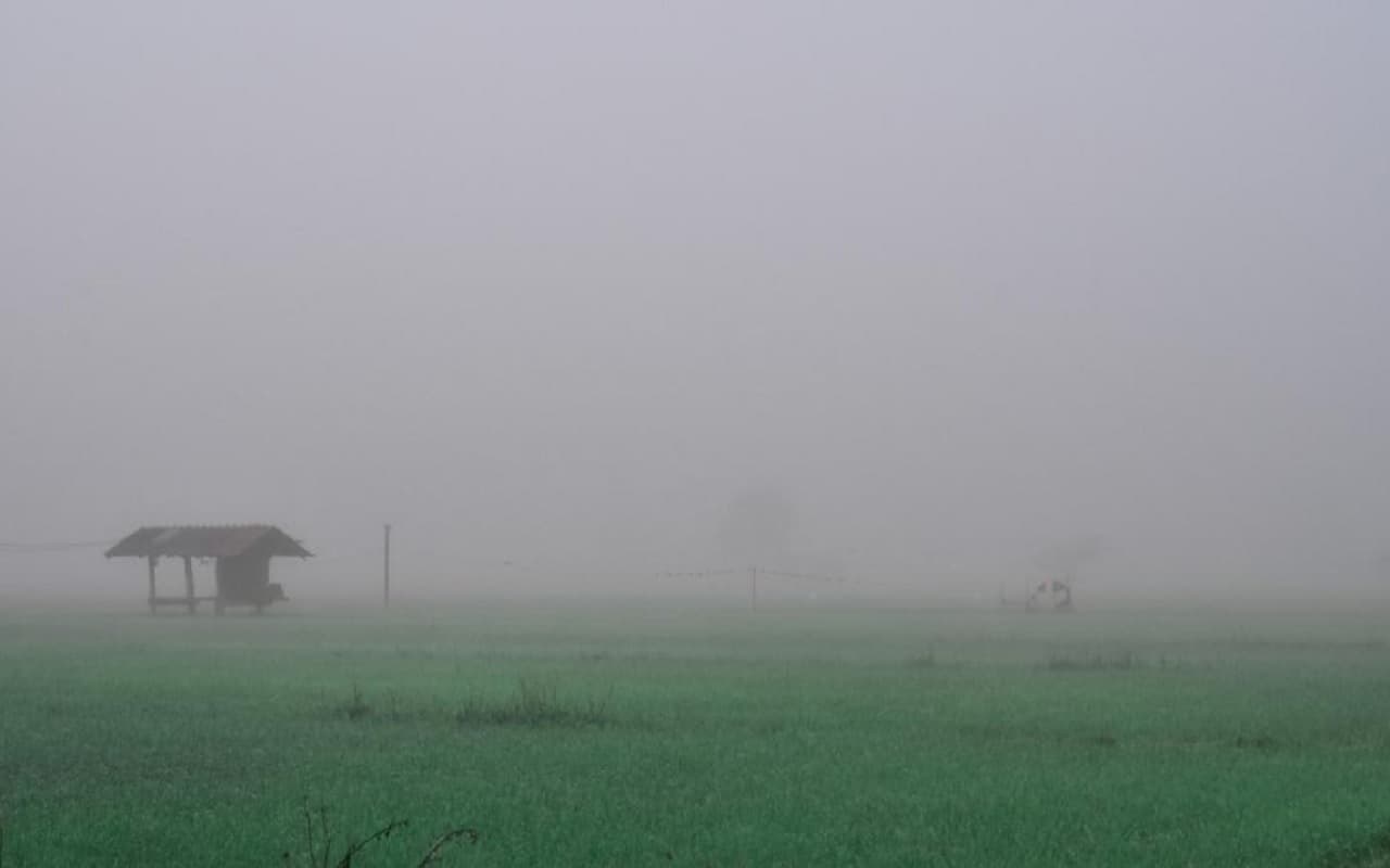 Farmer News: बिहार में किसानों के लिए आयी जरूरी सलाह, शीतलहर वाली ठंड में फसलों का ऐसे करें बचाव…