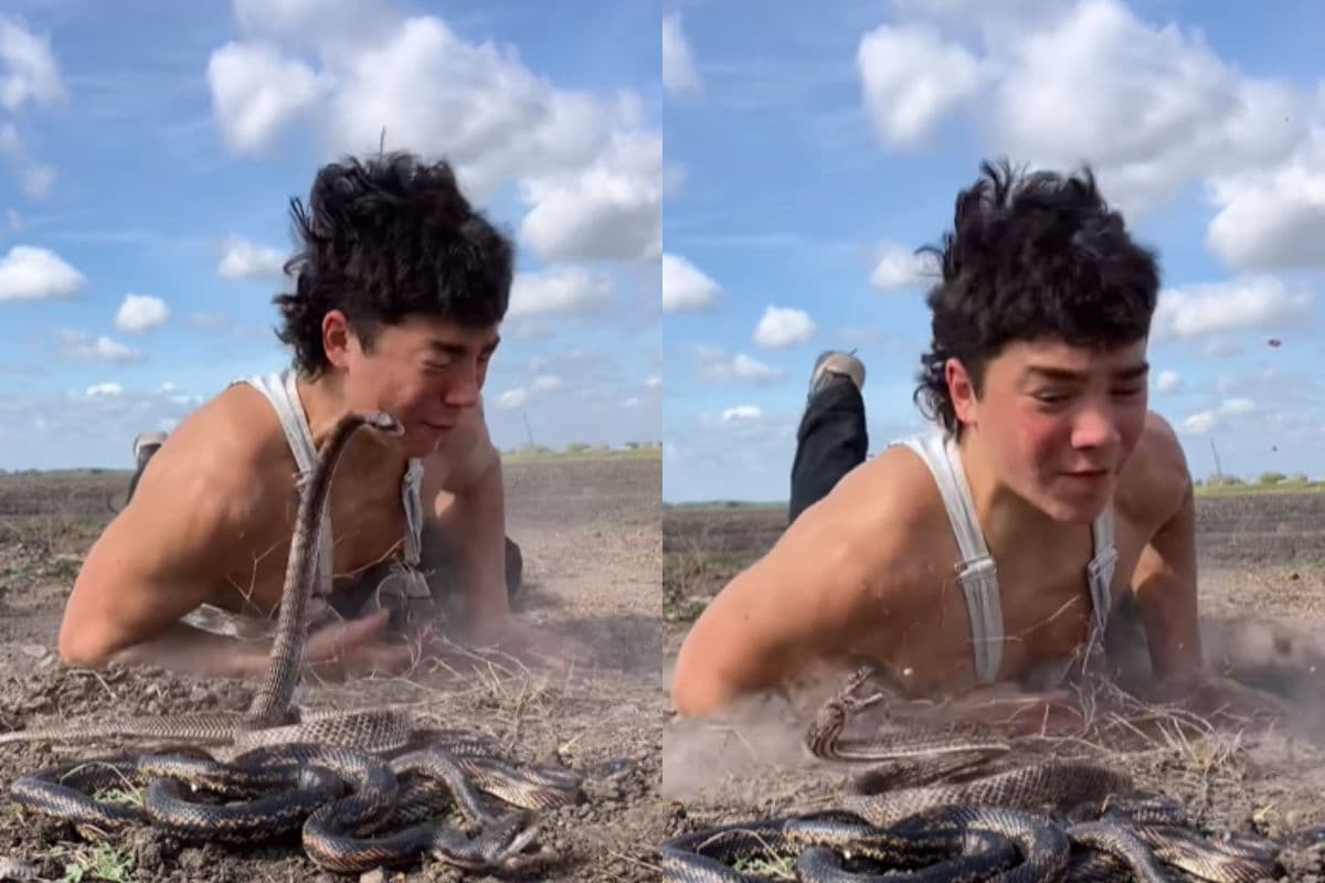 प्रेम में डूबे नाग-नागिन पर लड़के ने लगा दी छलांग, देखें वीडियो