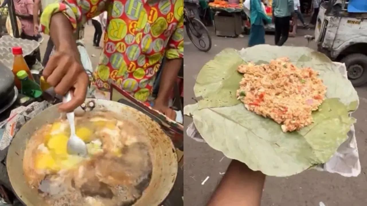 Viral Video: आपका लास्ट फूड हो सकता है ऐसा फास्ट फूड, बंदे ने अंडा भुर्जी में लगाया कोका कोला का तड़का