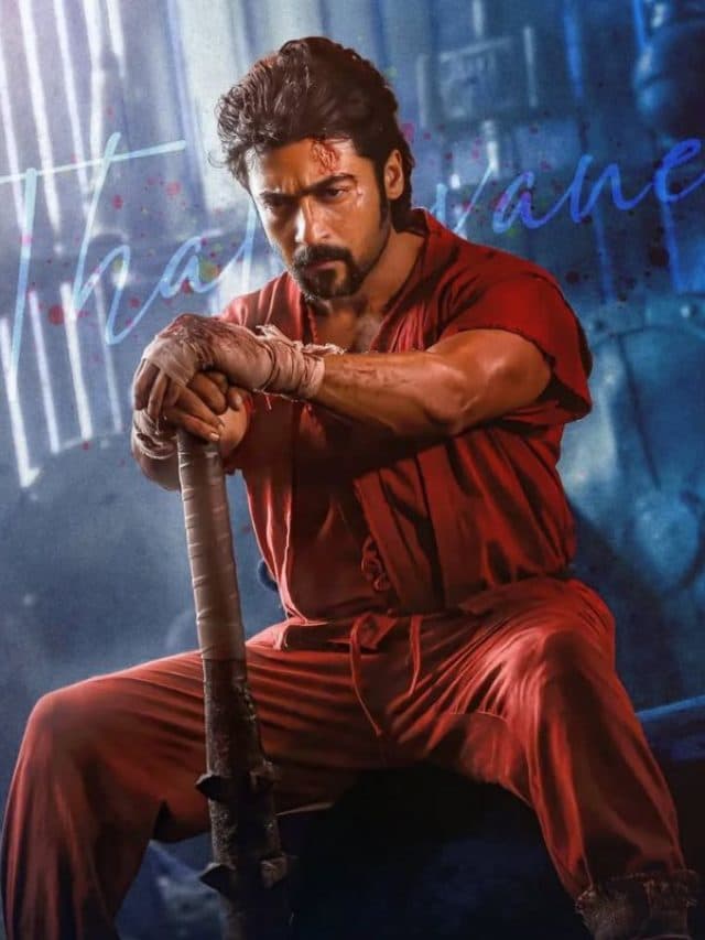 थिएटर्स के बाद नेटफ्लिक्स पर आएगी ये साउथ फिल्में