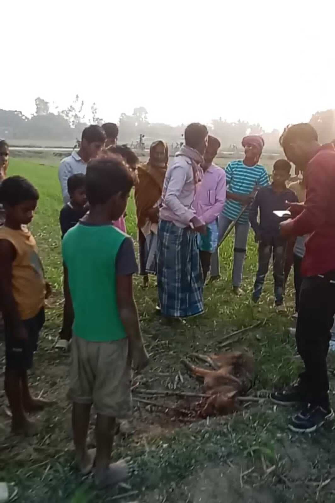 कन्हरिया दियारा में भेड़िया ने किया हमला, कई लोग हुए जख्मी