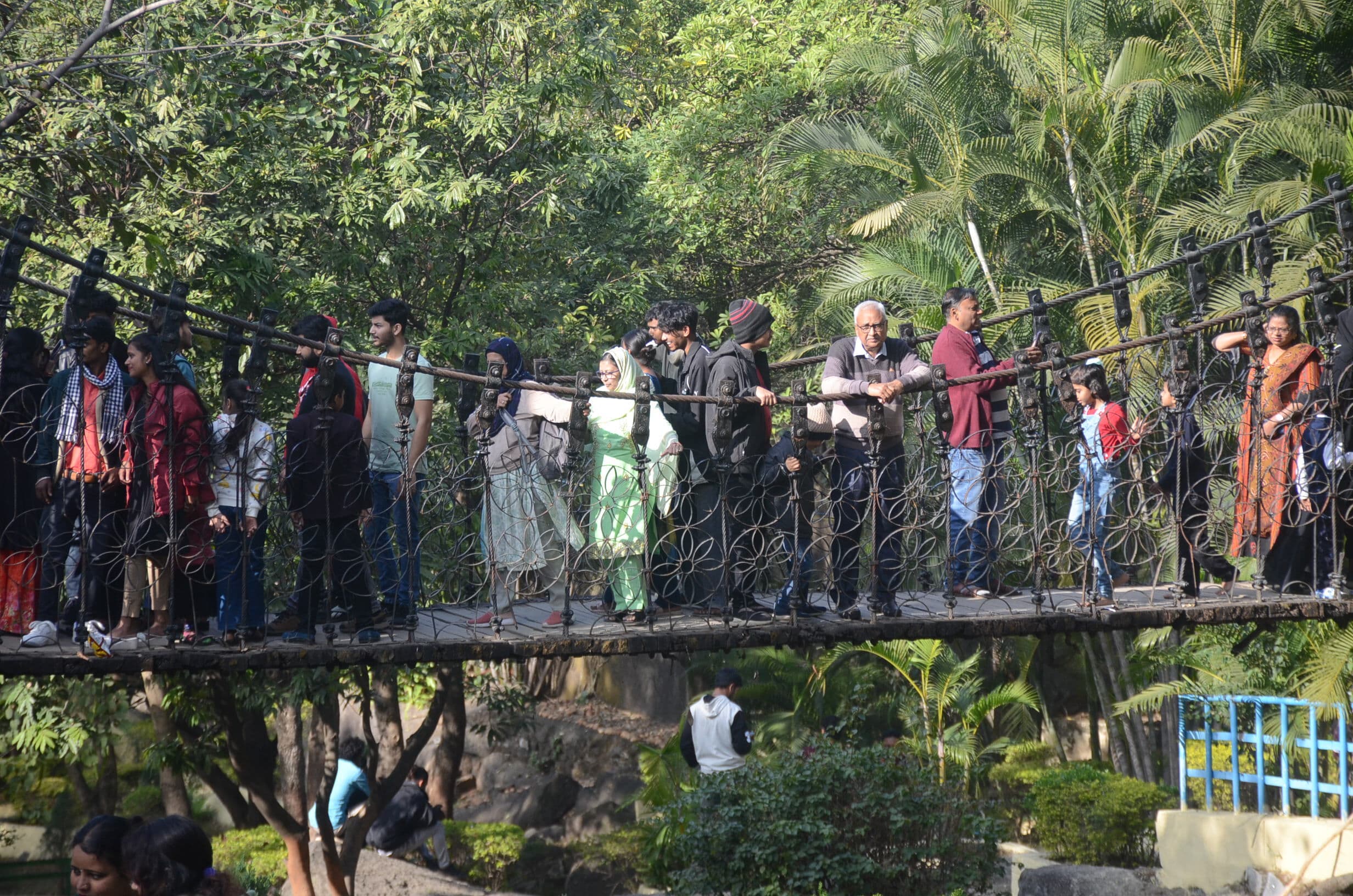 ranchi news : दिनभर खिली रही धूप, नववर्ष का हुआ जोरदार स्वागत