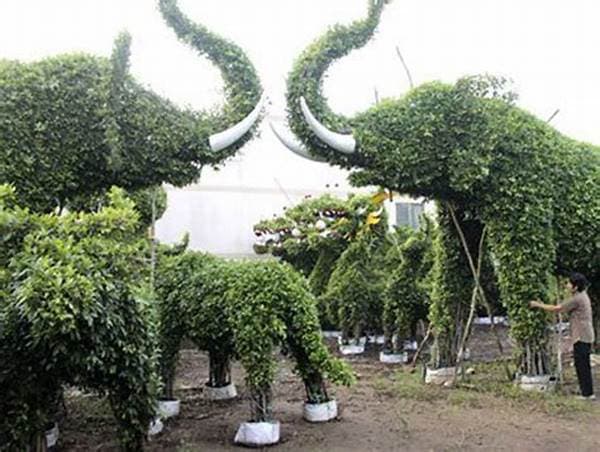 Patna News : हार्डिंग पार्क में पौधों से बनेंगी जानवरों की आकृतियां