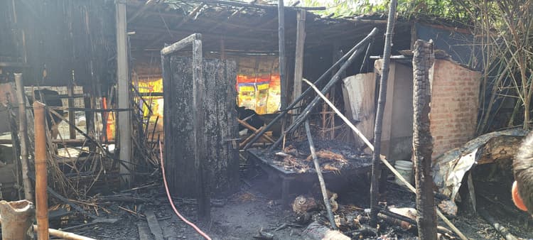 आगलगी में डेढ़ दर्जन पशु जले, लाखों का हुआ नुकसान