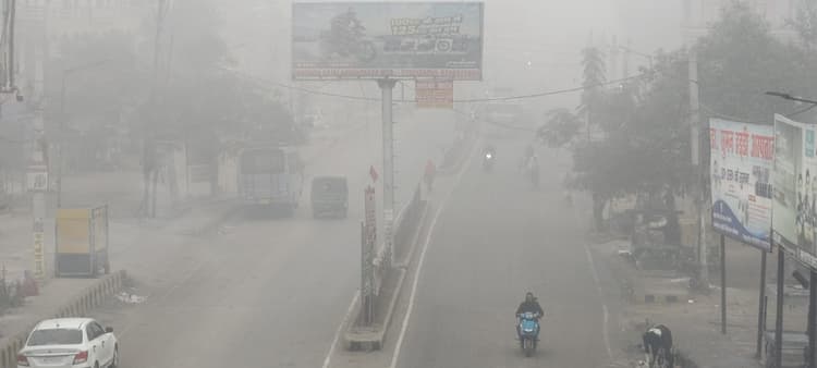 Aurangabad News: घने कोहरे में थमी वाहनों की रफ्तार