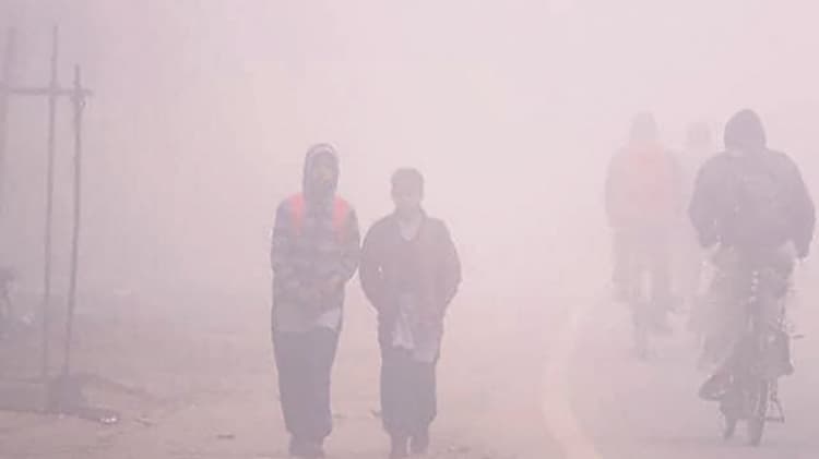 दिनभर नहीं हुए सूर्यदेव के दर्शन, ठंड ने कंपाया