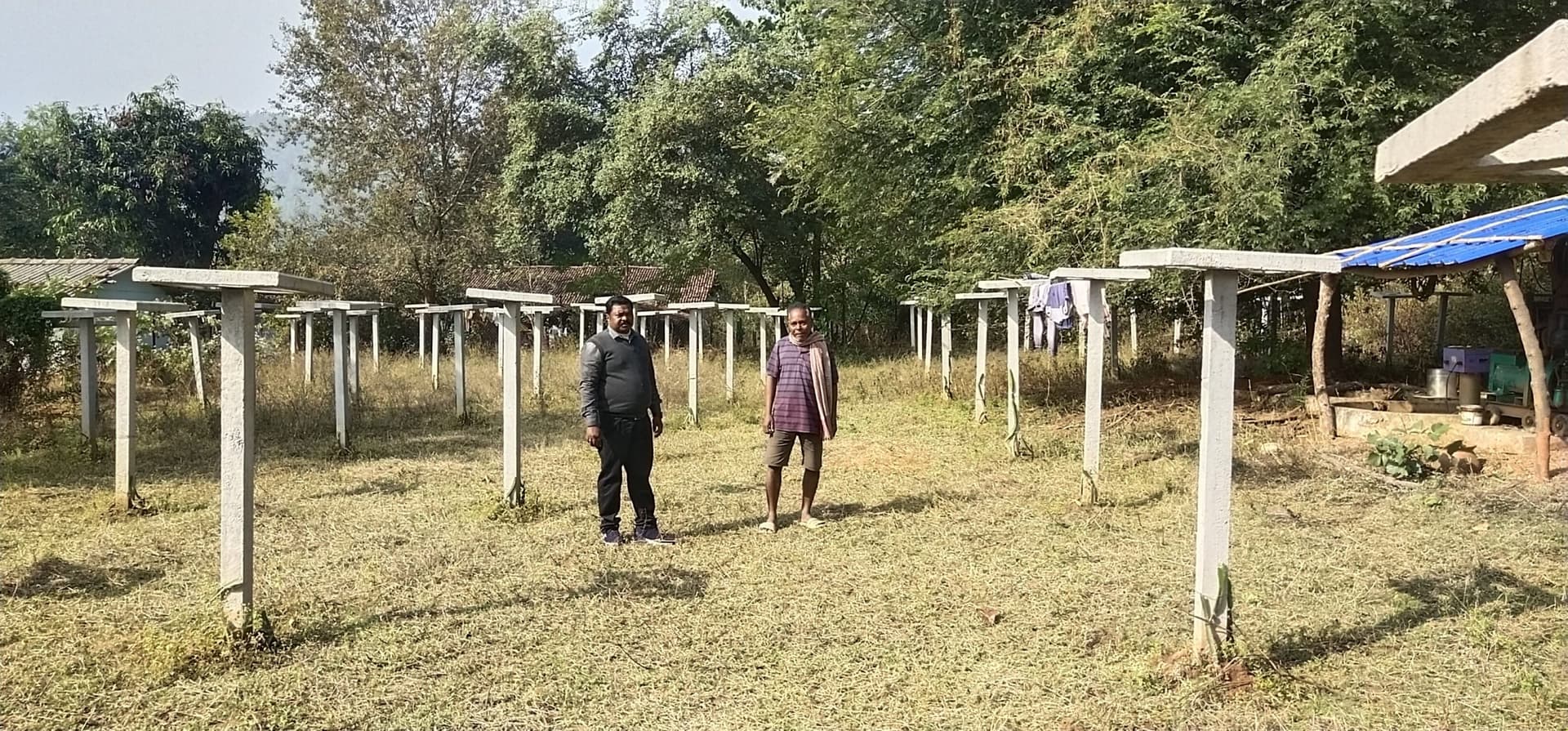 Chaibasa News : ड्रैगन फ्रूट की खेती करें किसान, होगा अधिक लाभ
