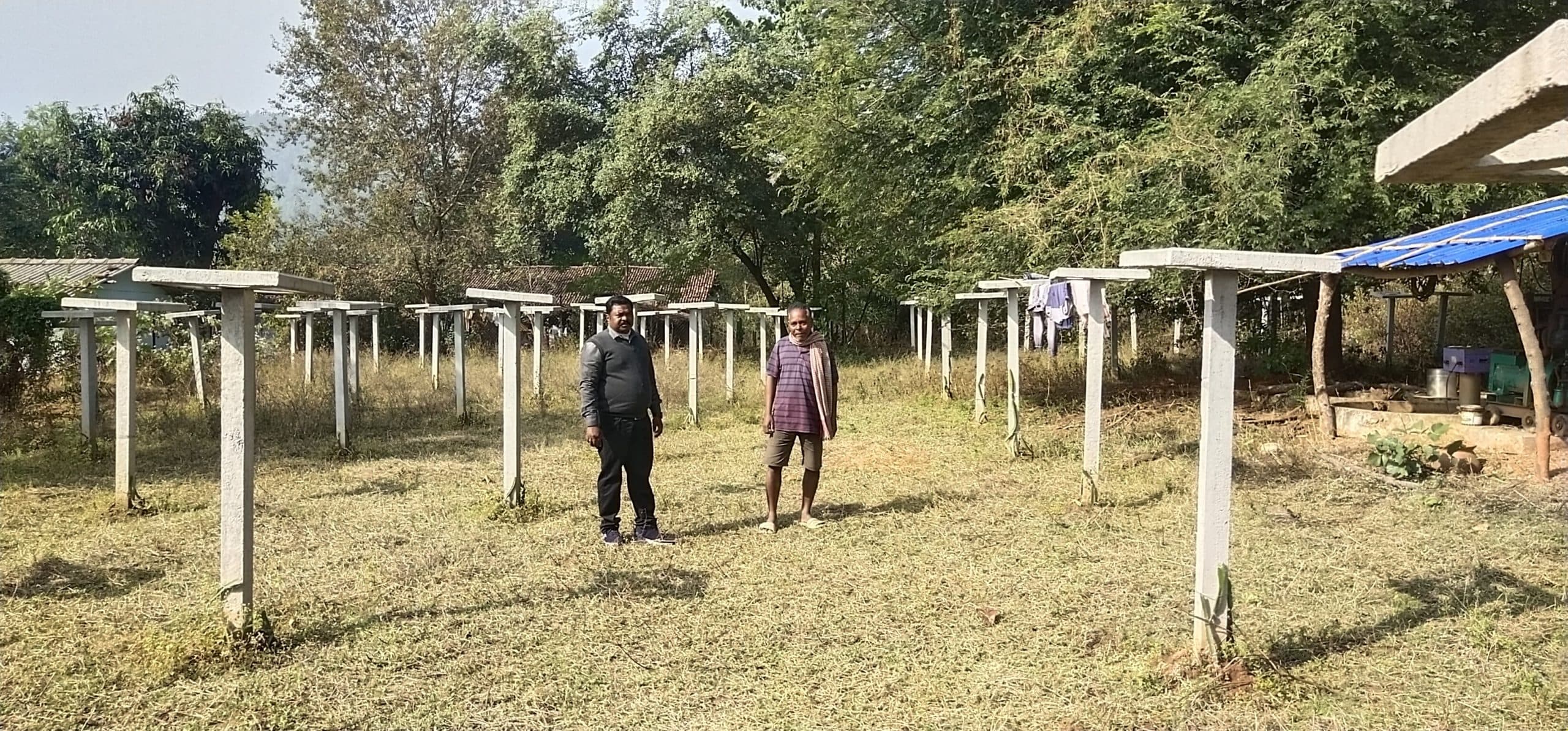 Chaibasa News : ड्रैगन फ्रूट की खेती करें किसान, होगा अधिक लाभ