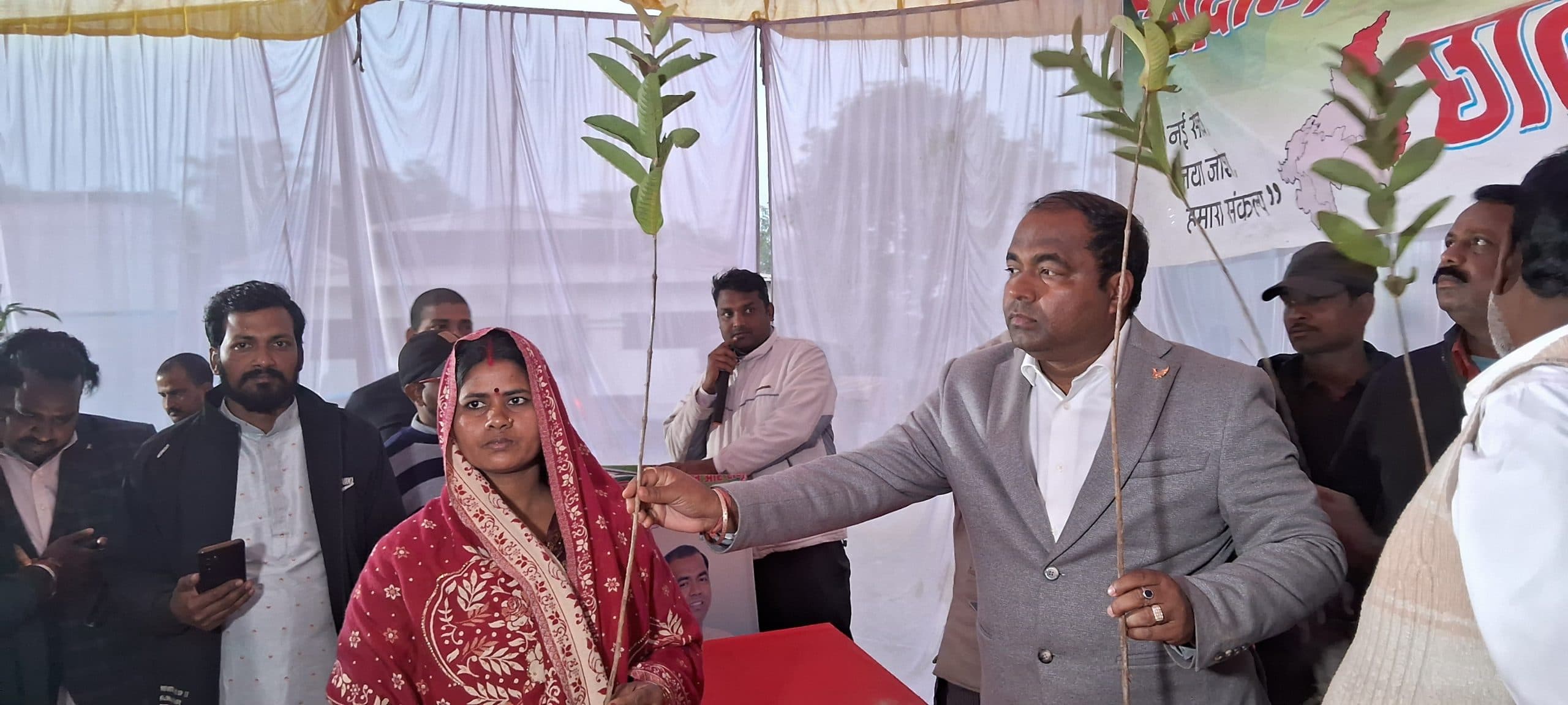 पनोरमा ग्रुप के सीएमडी ने पांच सौ लोगों के बीच वितरण किया फलदार पौधा