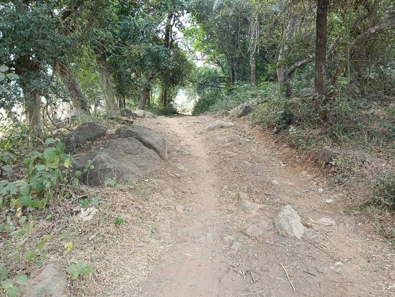 मसानपाड़ा तक पक्की सड़क के निर्माण की पहल तेज