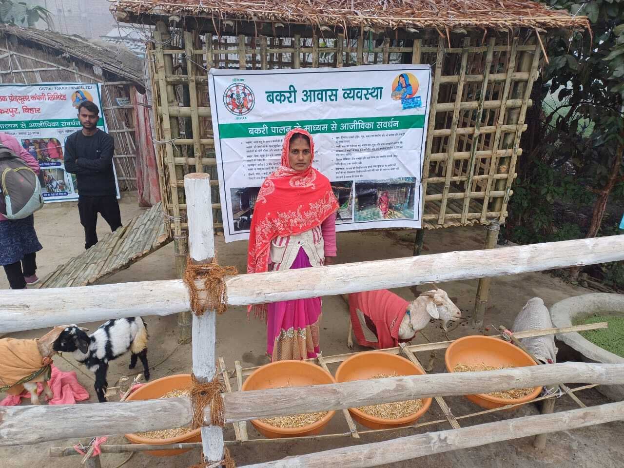 मुशहरी की चार हजार दीदियां कर रही बकरी पालन, हर महीने 1.20 करोड़ की आमदनी