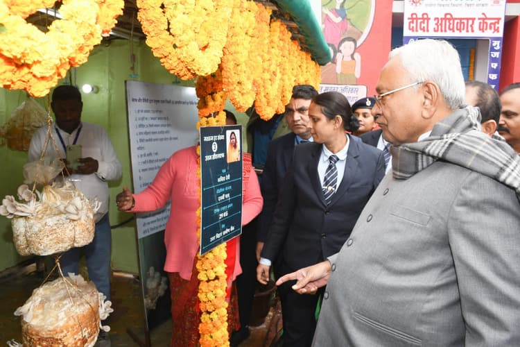 एआइ तकनीक से मशरूम उत्पादन देख खुश हुए सीएम