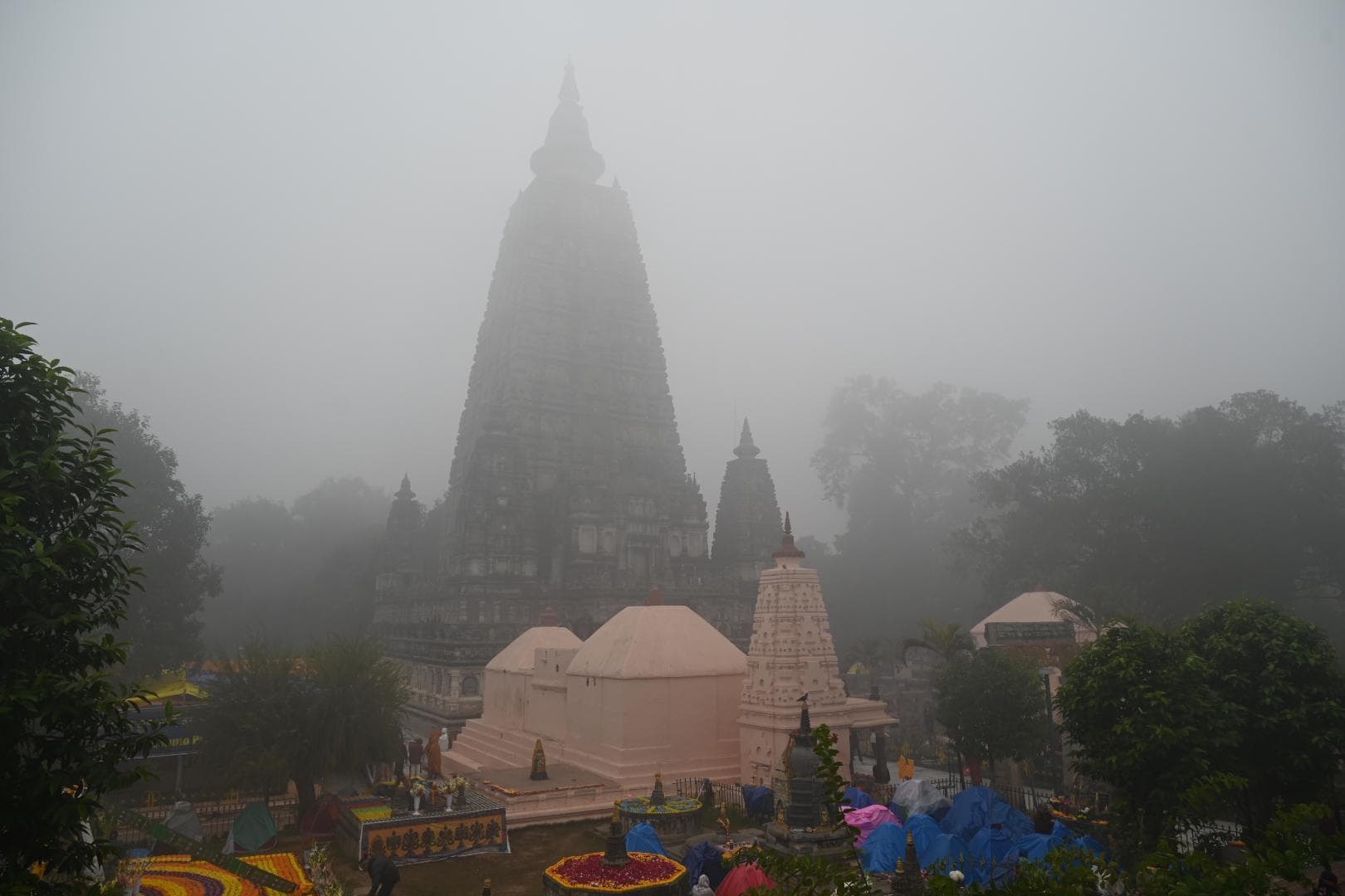 Gaya News : सर्द हवा से बढ़ी कनकनी, कोहरे ने रोकी वाहनों की रफ्तार