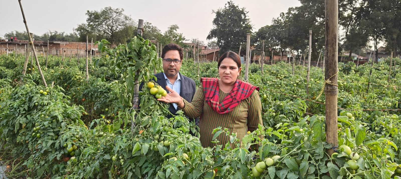 स्ट्रॉबेरी की खेती के लिए किसानों को करें प्रोत्साहित : डीसी