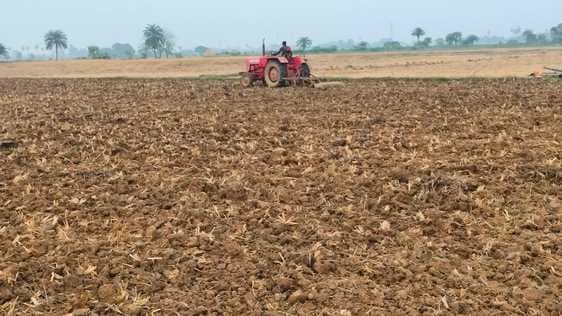 लक्ष्य के 72 फीसदी सिंचित भूभाग पर रबी फसलों का हुआ आच्छादन