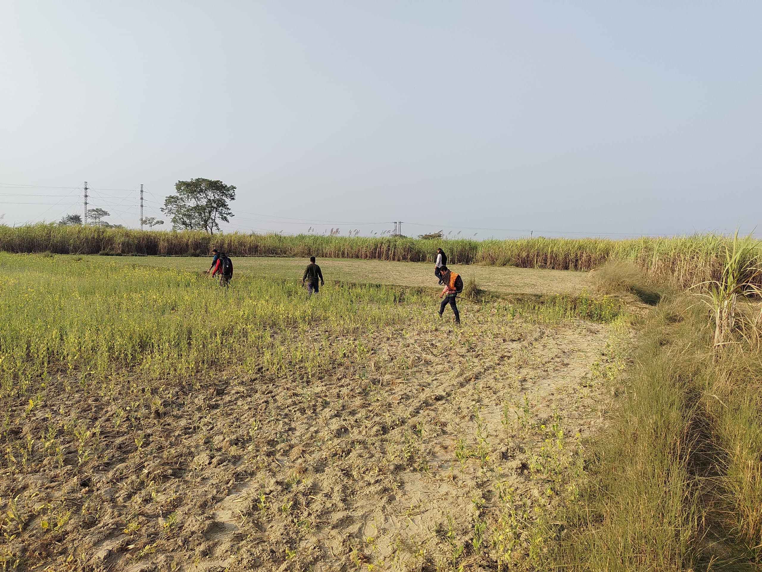 बाघ का लोकेशन जानने दूसरे दिन भी जुटे रहे वीटीआर के टीटी