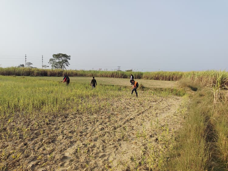 बाघ का लोकेशन जानने दूसरे दिन भी जुटे रहे वीटीआर के टीटी