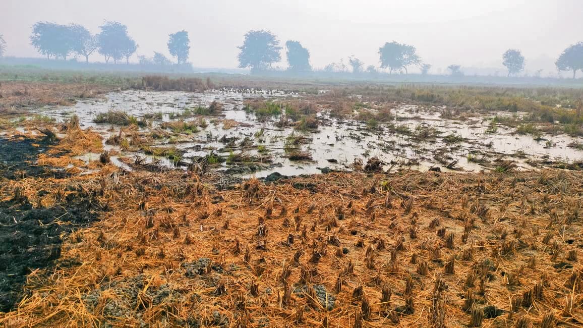 Gopalganj News : चनावे जेल से निकलने वाले पानी से बर्बाद हो रही किसानों की फसल, रबी की नहीं हुई बोआई