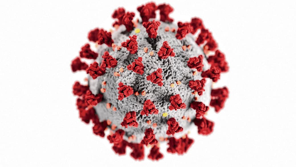 Deoghar News : एचएमपीवी वायरस से अलर्ट रहने की जरूरत : एम्स निदेशक