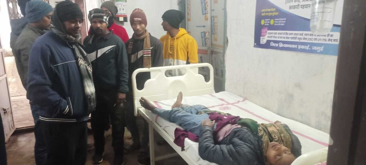 भीमबांध से पिकनिक मनाकर लौटने के दौरान ऑटो पलटा, आधा दर्जन घायल