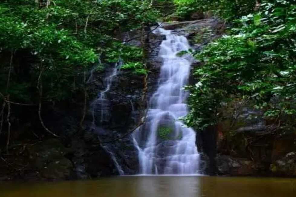 Chaibasa News : सारंडा बनेगा इको टूरिज्म, प्राकृतिक खूबसूरती को निहार सकेंगे सैलानी