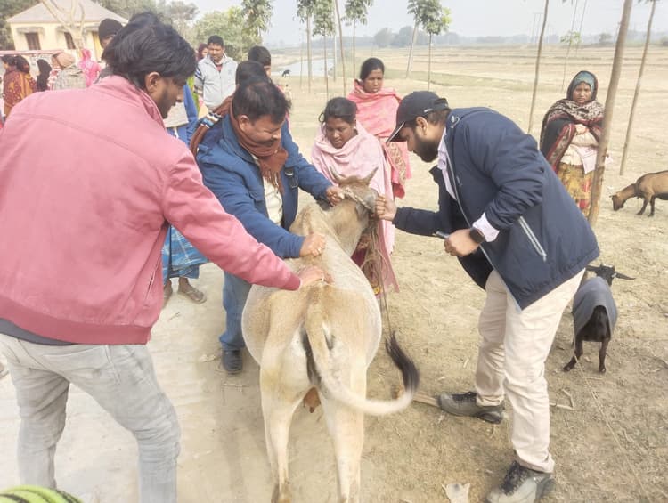 जीविका व पशु एवं मत्स्य संसाधन विभाग ने किया पशु स्वास्थ्य जागरूकता शिविर का आयोजन