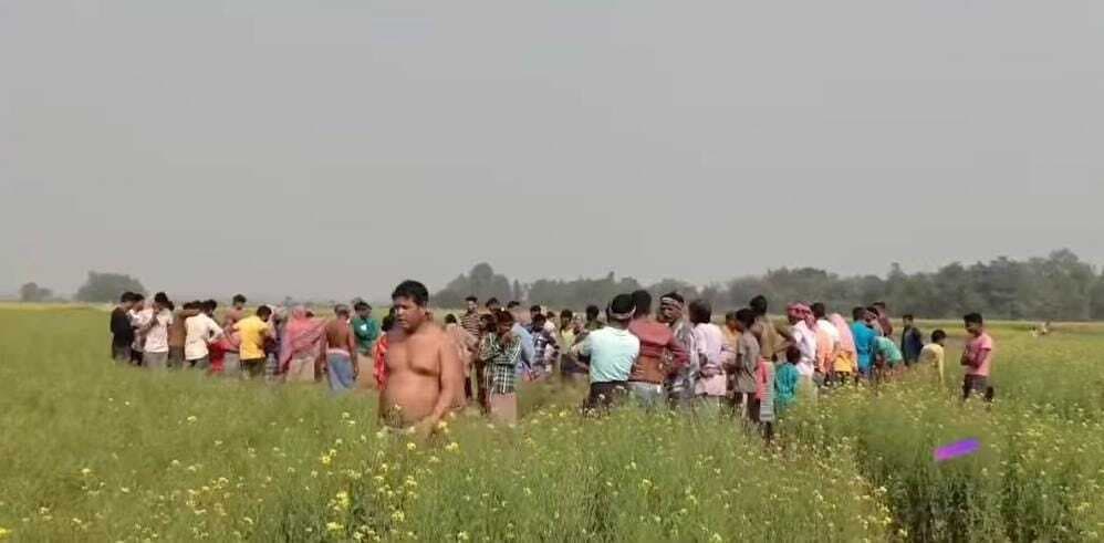 East singhbhum news : झाड़ग्राम में हाथी की मौत, हार्ट अटैक की आशंका