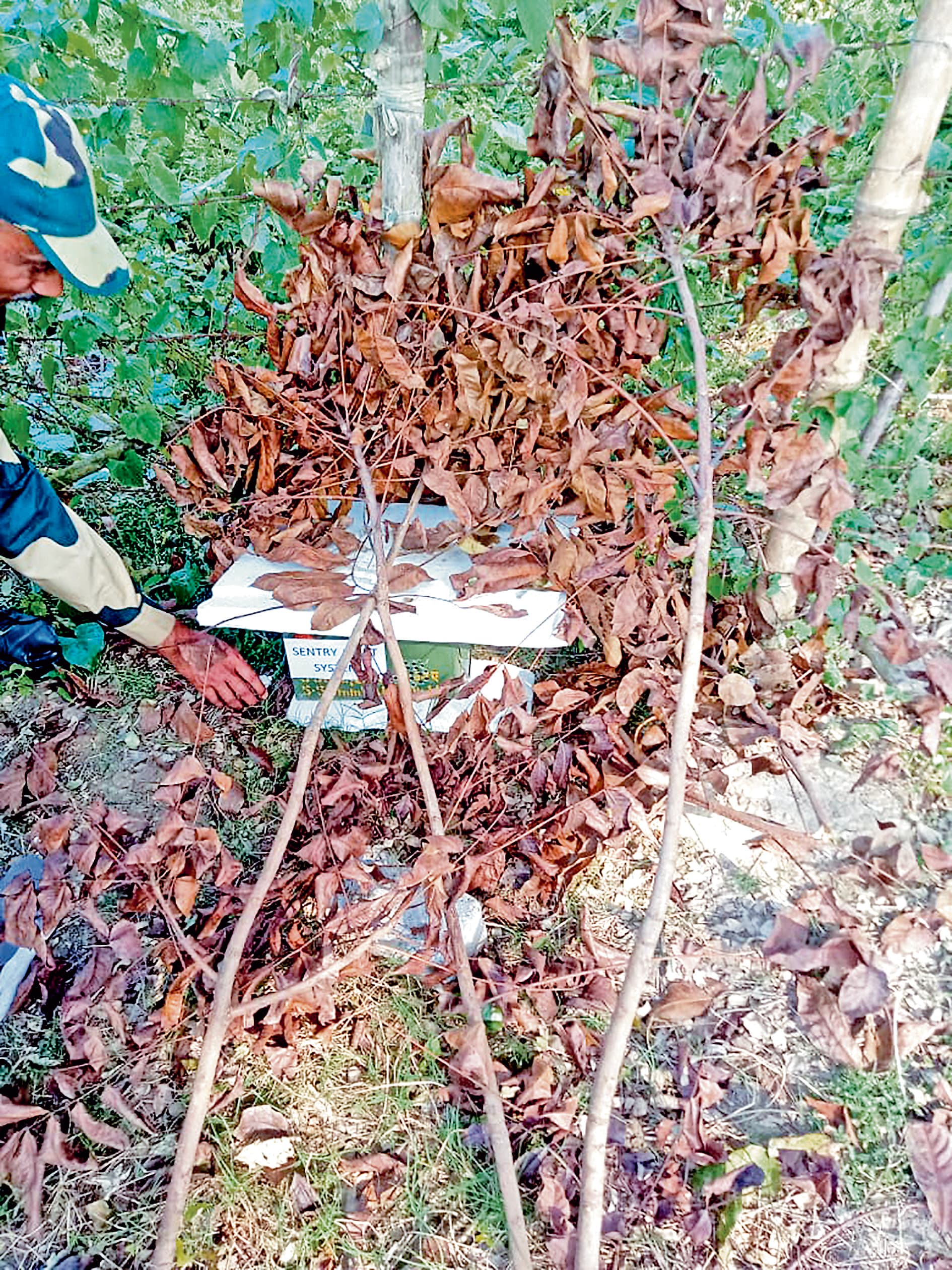 सीमा की निगरानी में अत्याधुनिक तकनीकों का हो रहा इस्तेमाल