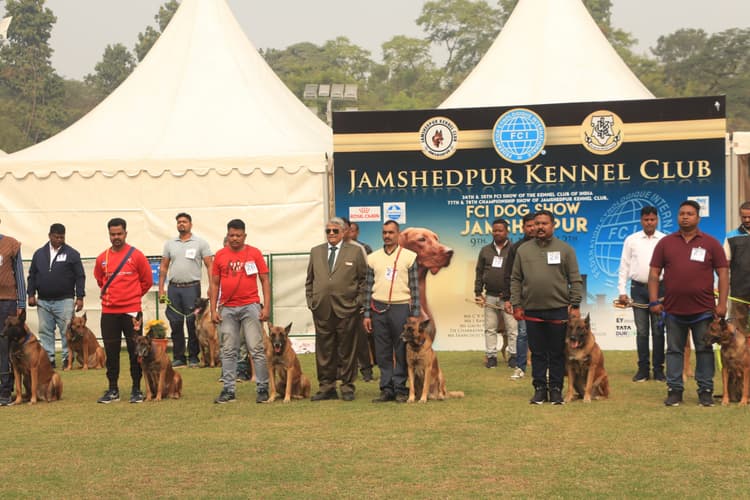 Jamshedpur : आर्चरी ग्राउंड में शुरू हुआ डॉग शो