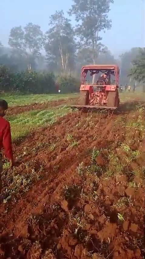 seraikela News : पुलिस के जागरूकता अभियान का दिख रहा है असर, सीमावर्ती क्षेत्र के ग्रामीणों ने अफीम की खेती को किया नष्ट