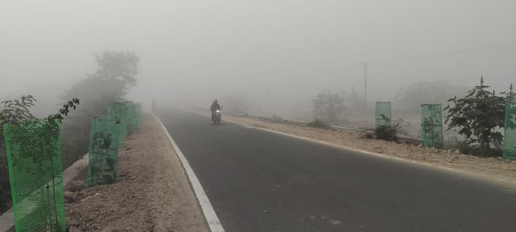 Giridih News :गिरिडीह में शीतलहर का प्रकोप जारी, सुबह में छाया रहा कोहरा