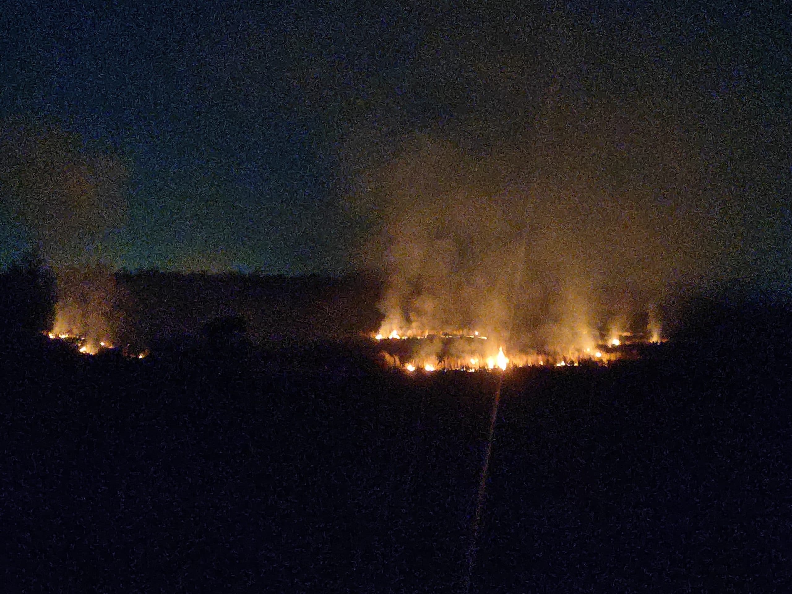 Bokaro News : जंगल की आग को रोकने में बहुत हद तक कामयाब हुआ है बोकारो