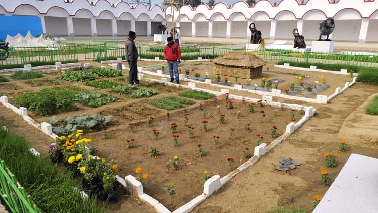 कृषि उद्योग प्रदर्शनी में किसानों के लिए बनाया जा रहा मशरूम हट, खेती के लिये करेगा प्रेरित