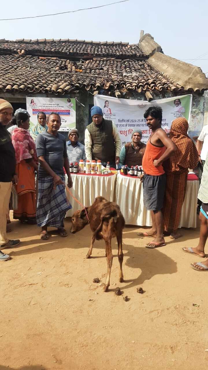 मवेशियों को बीमारी से बचाव को के लिए पशुपालकों के बीच दवा का वितरण