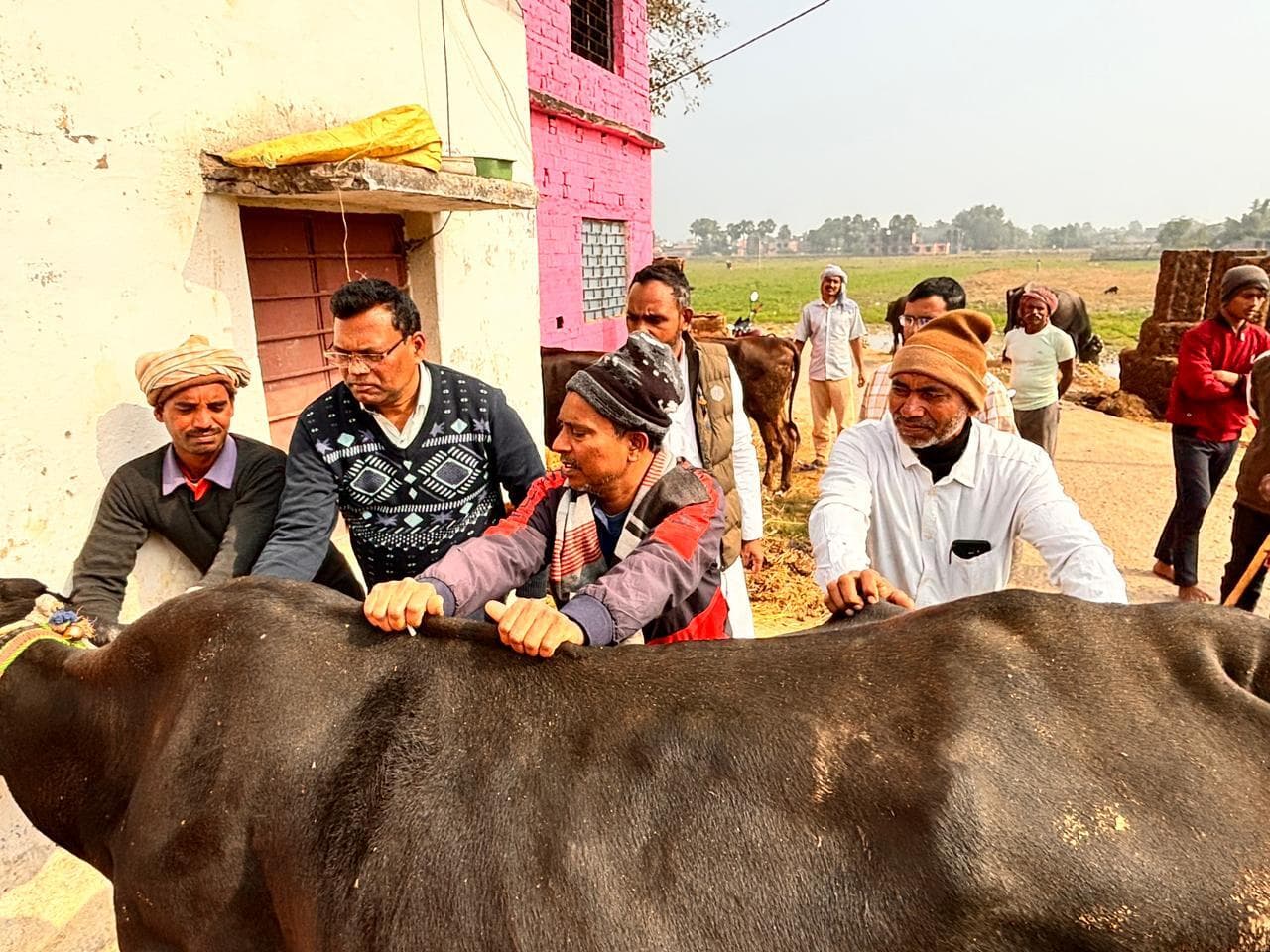 शिविर में 75 पशुओं का उपचार कर दी गयी दवा
