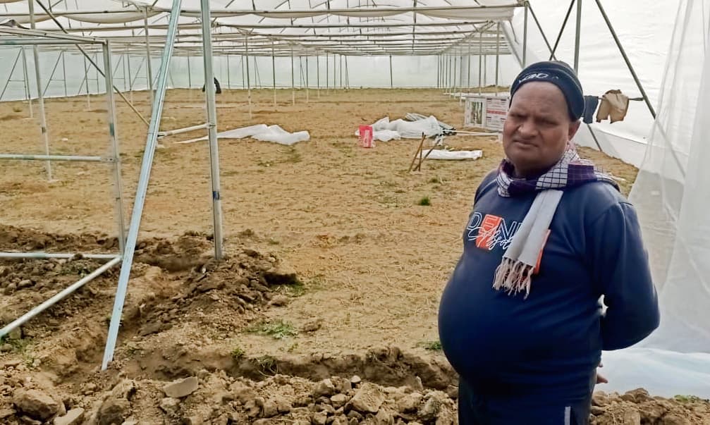 शिमला मिर्च की खेती के लिए 25 लाख की लागत से बन रहा पॉली हाउस