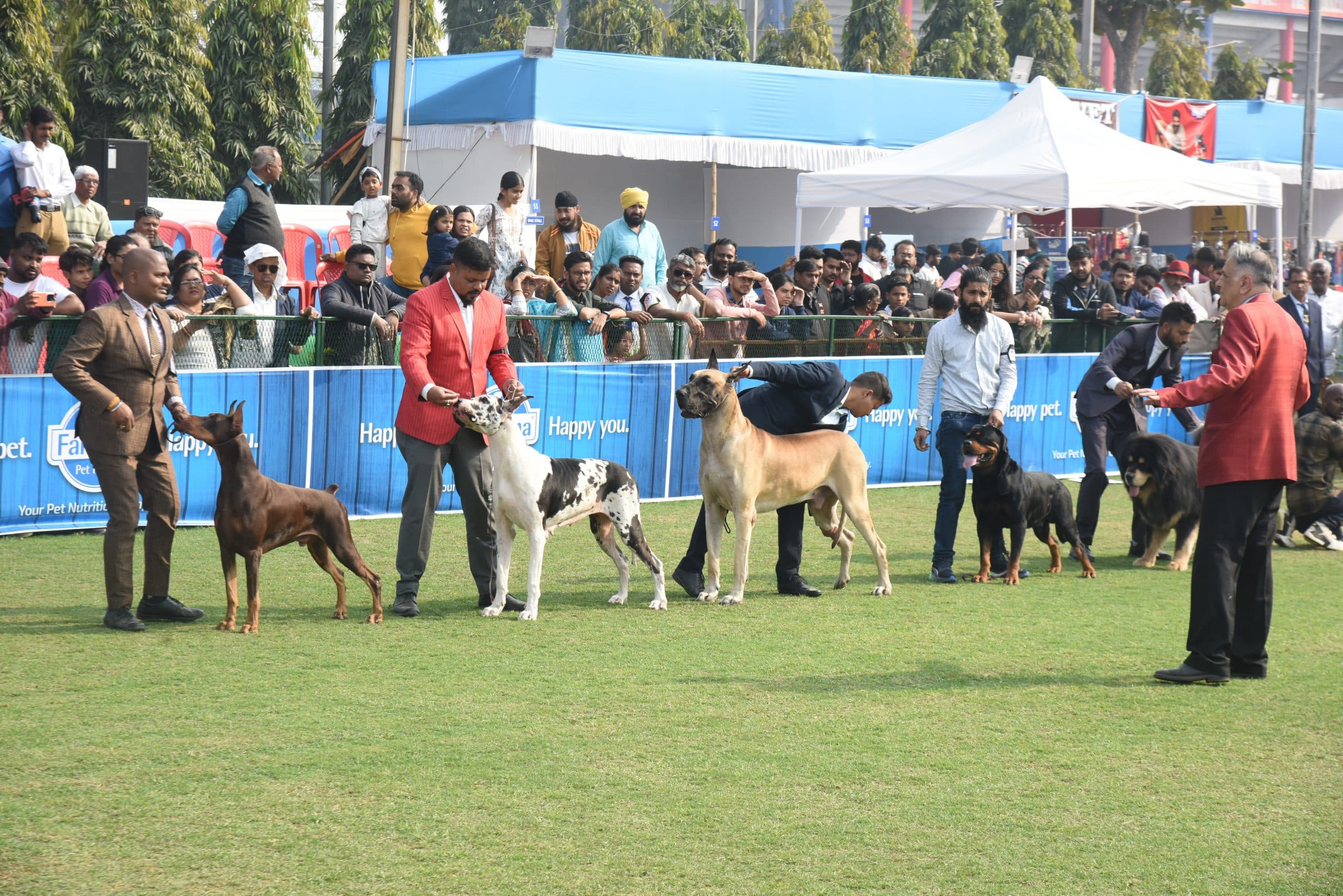 Jamshedpur : डॉग शो : सोम्बोर सेम्पर विक्टर को बेस्ट इन शो का खिताब