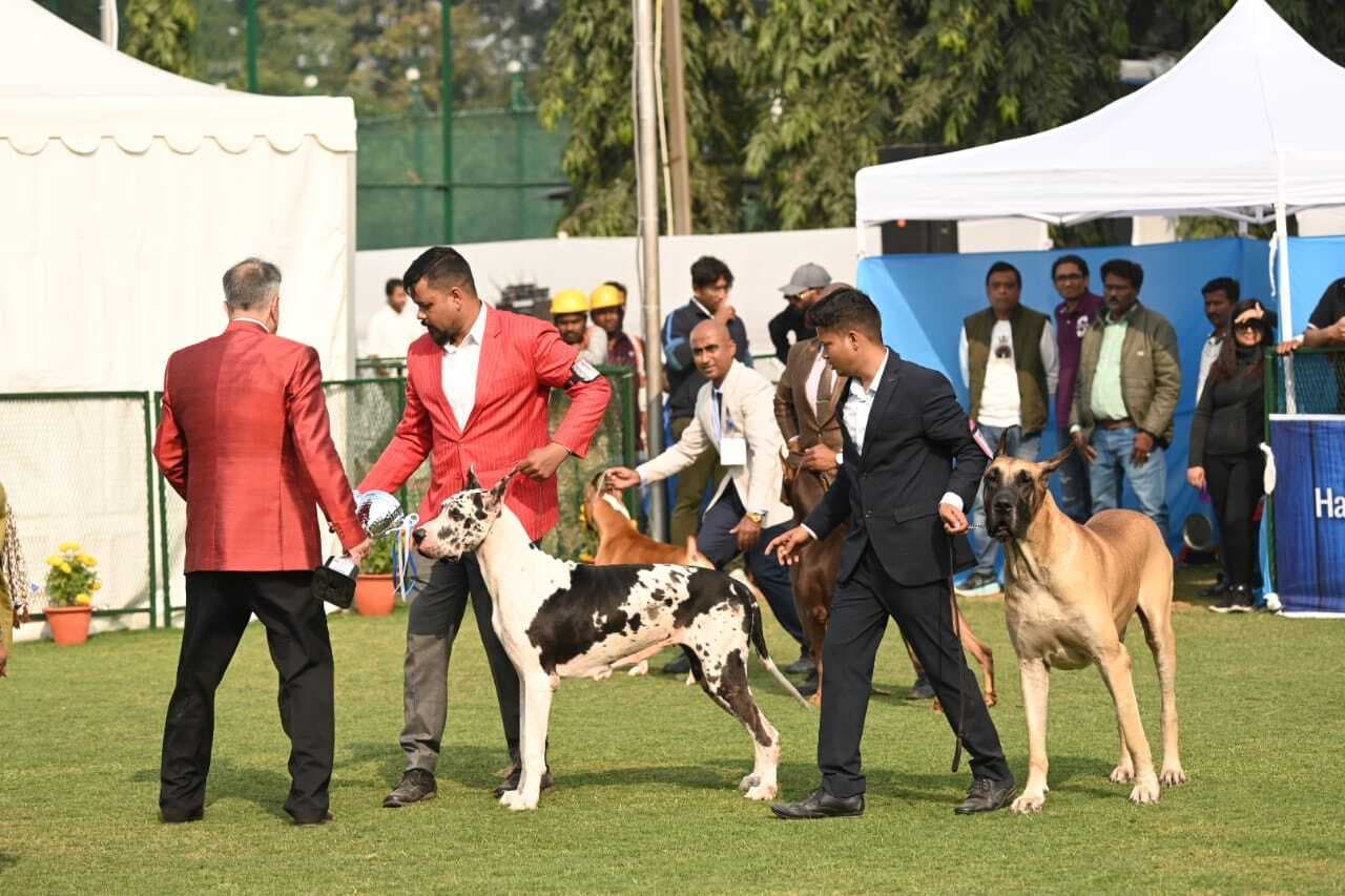 पहली बार जमशेदपुर आये कीशॉन्ड व स्पैनियल पापिलॉन नस्ल के डॉग्स