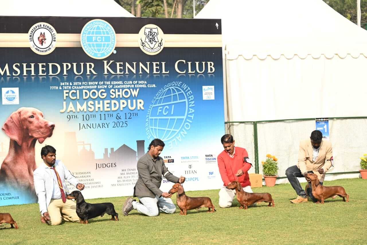 सोम्बोर सेम्पर विक्टर को बेस्ट इन शो का खिताब