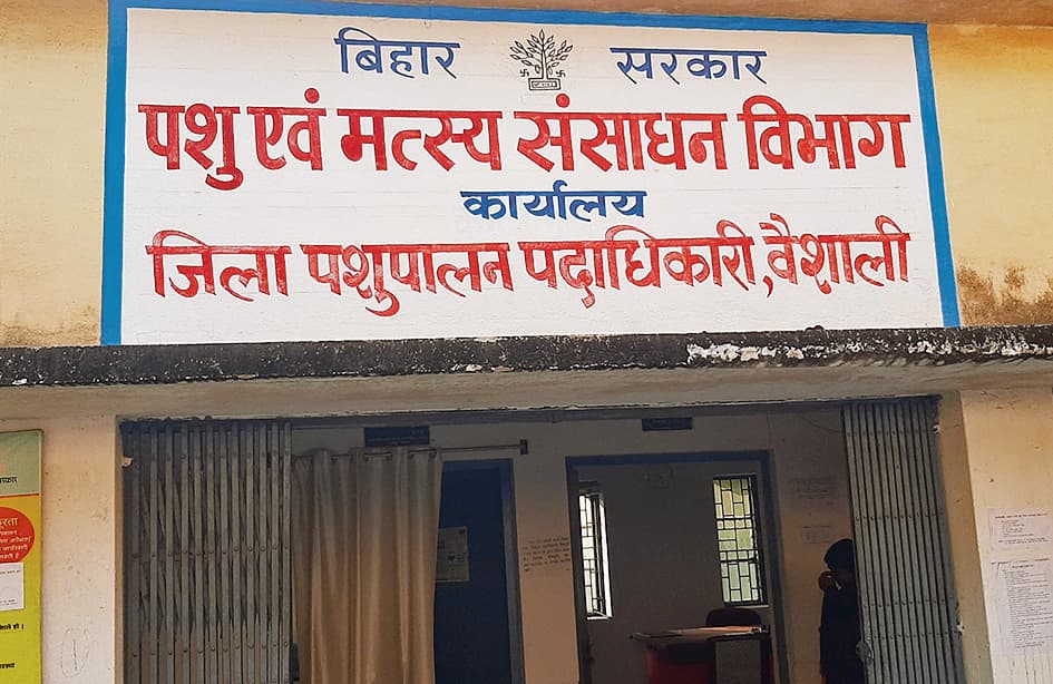 hajipur news. 87 लाभुकों को मिलेगा शूकर पालन योजना का लाभ