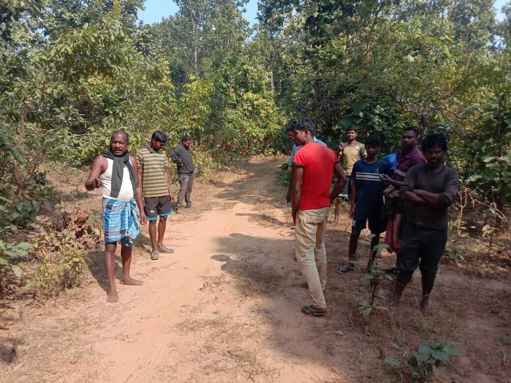 East Singhbhum : बोंगडुबा जंगल में फिर दिखे बाघ के पदचिह्न, ग्रामीणों को किया अलर्ट