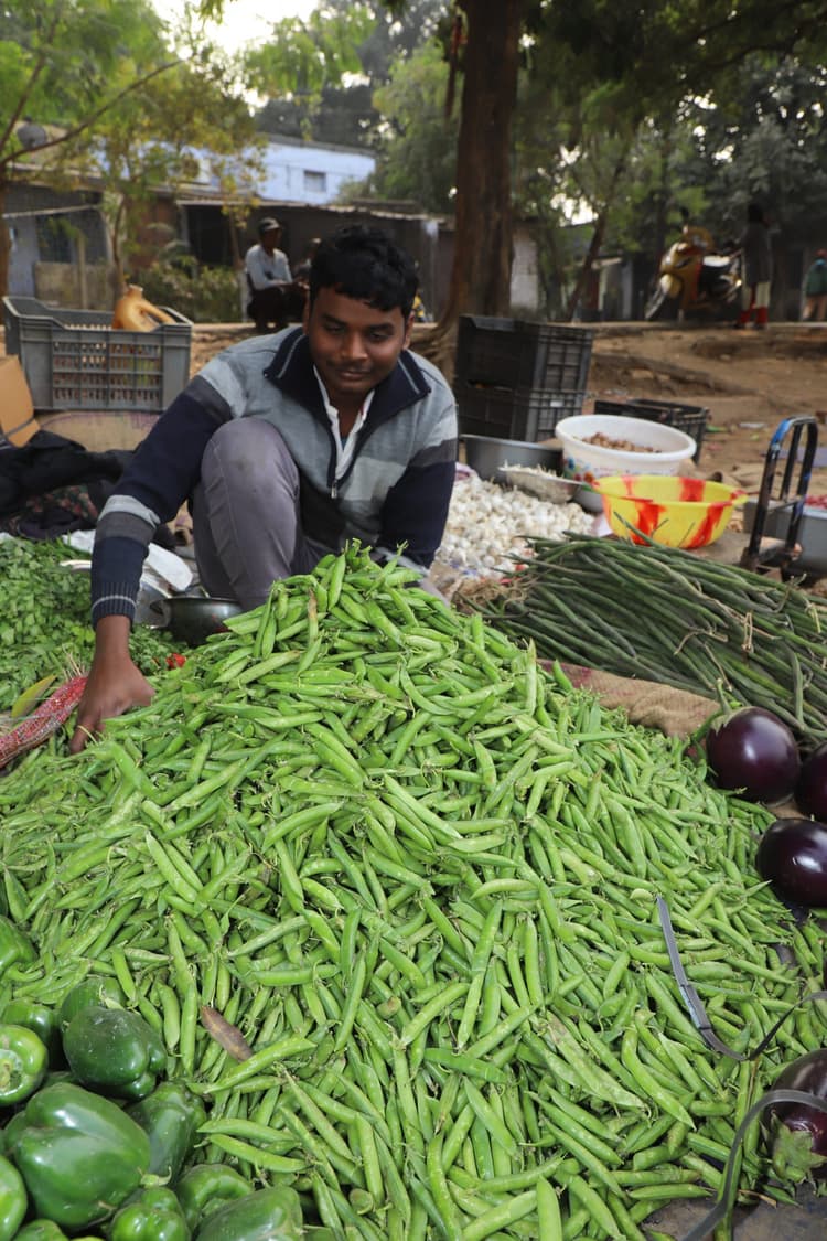 Jamshedpur News : मकर संक्रांति को लेकर फूल गोभी व मटर की बढ़ी मांग