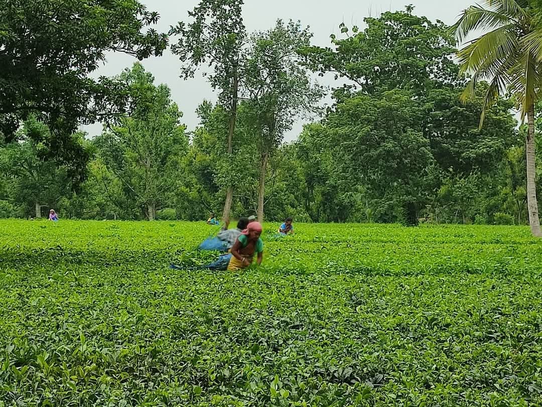 1990 में पूर्णिया से अलग होकर बना था किशनगंज जिला