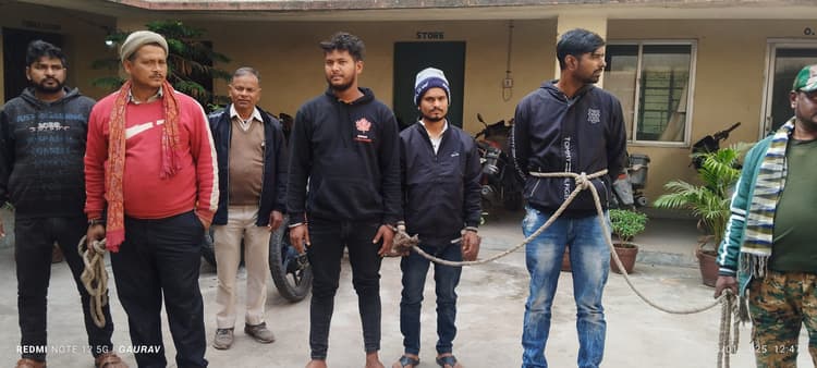 Giridih News:13 मवेशी के साथ दो पिकअप वैन जब्त